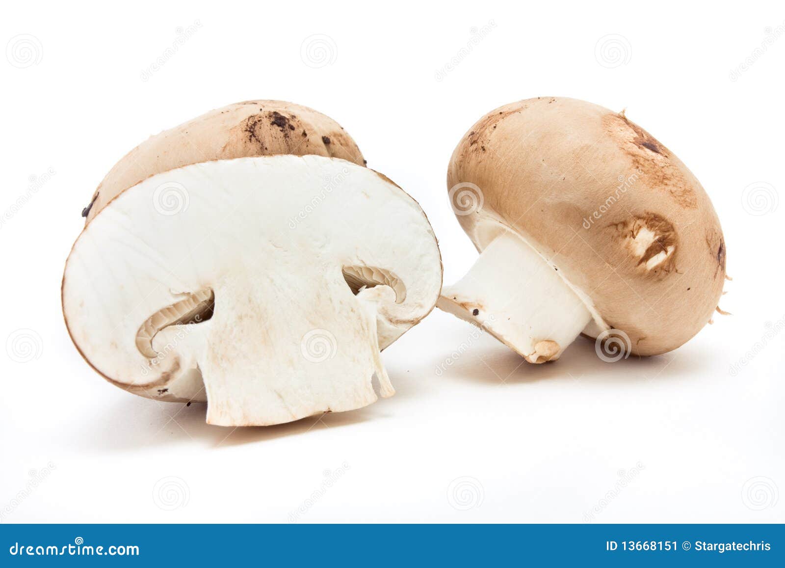 栗子蘑菇 库存图片. 图片 包括有 牛奶, 构成, 绿色, 可食, 营养, 成份, 饮食, 蘑菇, 庄稼 - 25186215