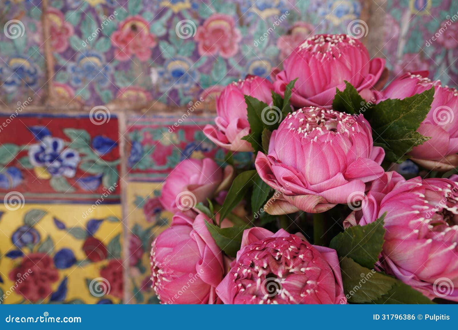 桃红色莲花和美丽的墙壁. 桃红色莲花和黎明寺美丽的墙壁在曼谷，泰国