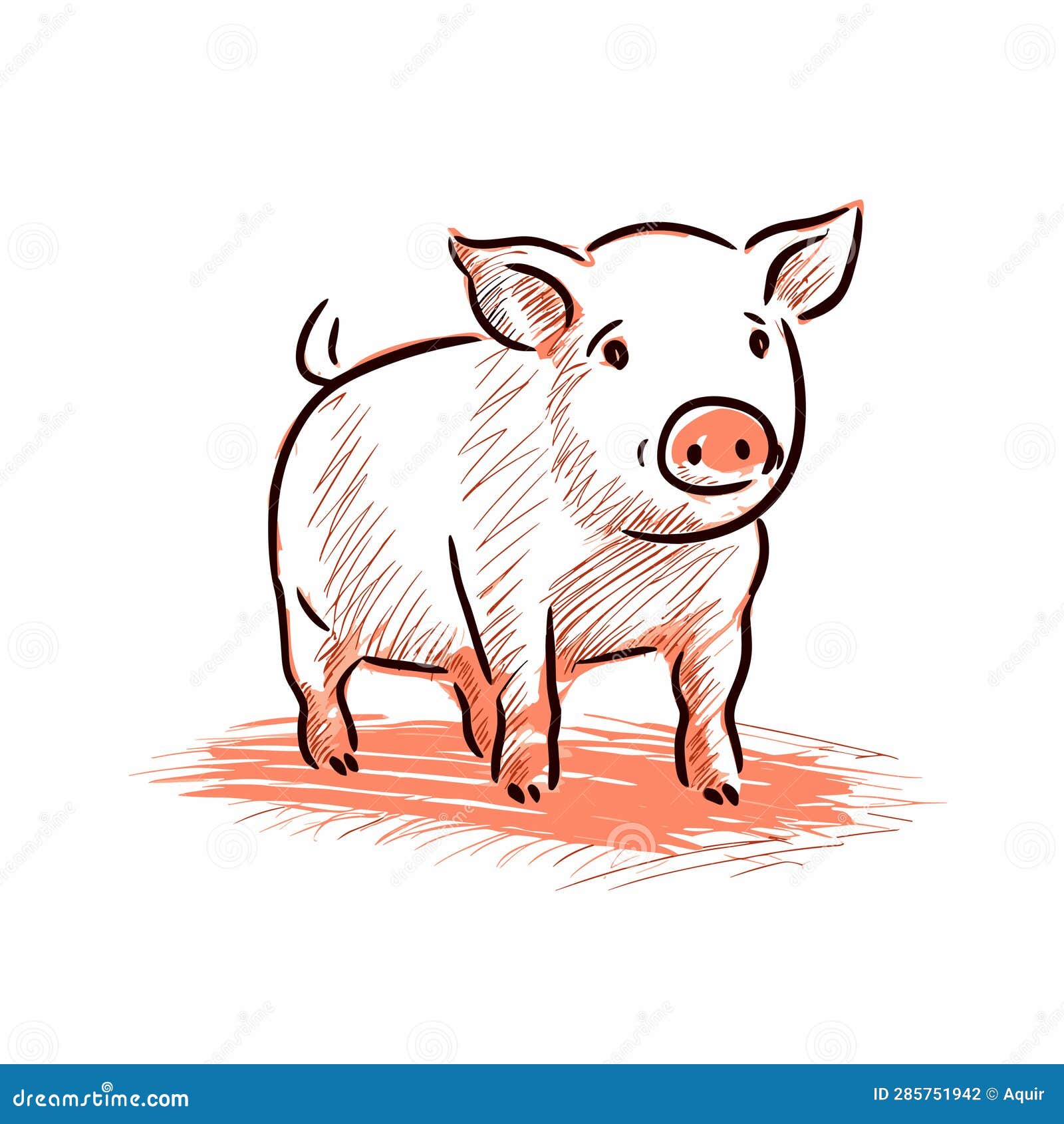 母猪手绘图. 母猪. 矢量图涂鸦风格卡通插图 向量例证. 插画 包括有 农村, 小猪, 自然, 动物区系 - 285751902