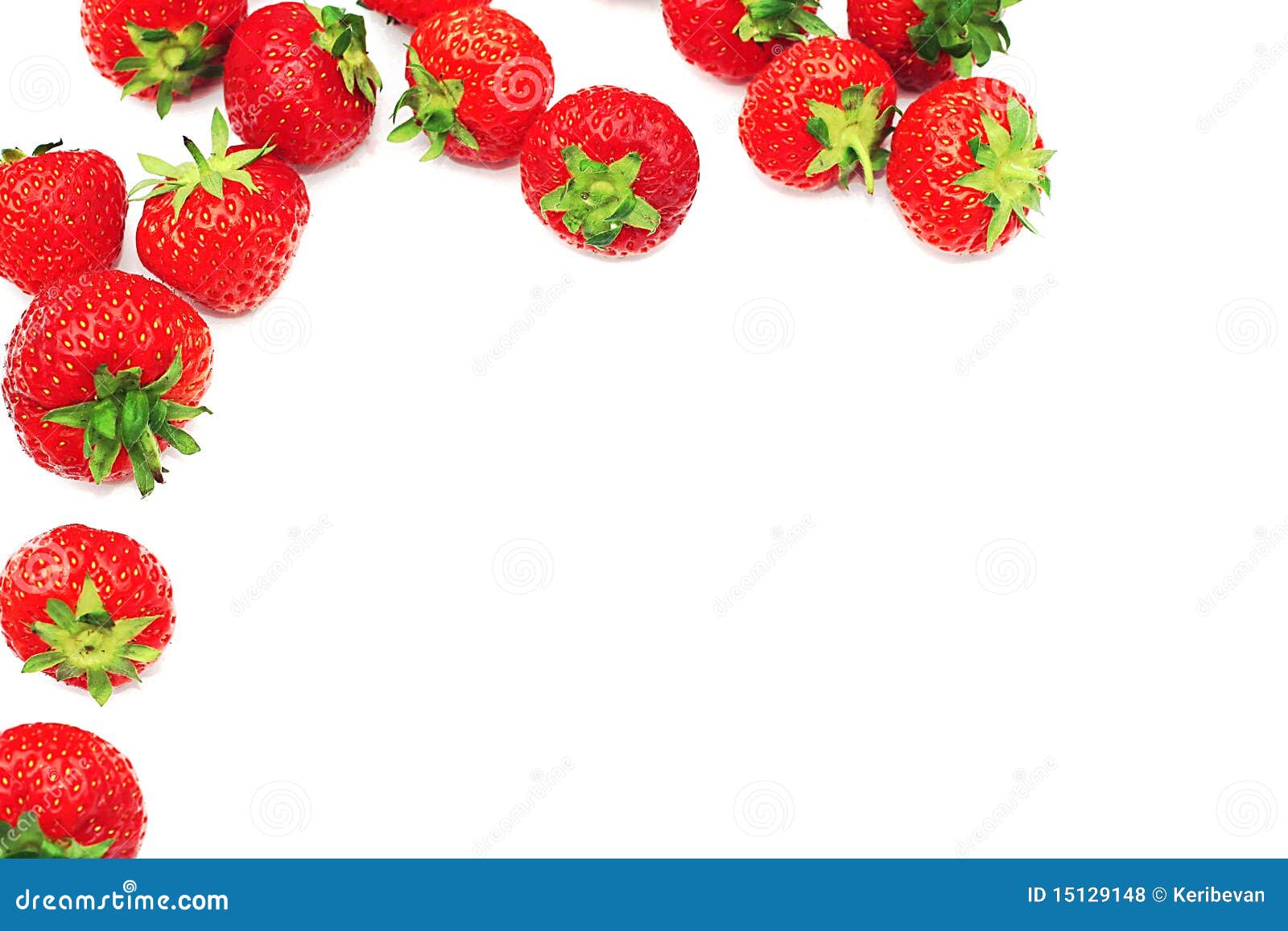 毗邻草莓. 删去您边界明亮的复制查出的红色草莓的白色