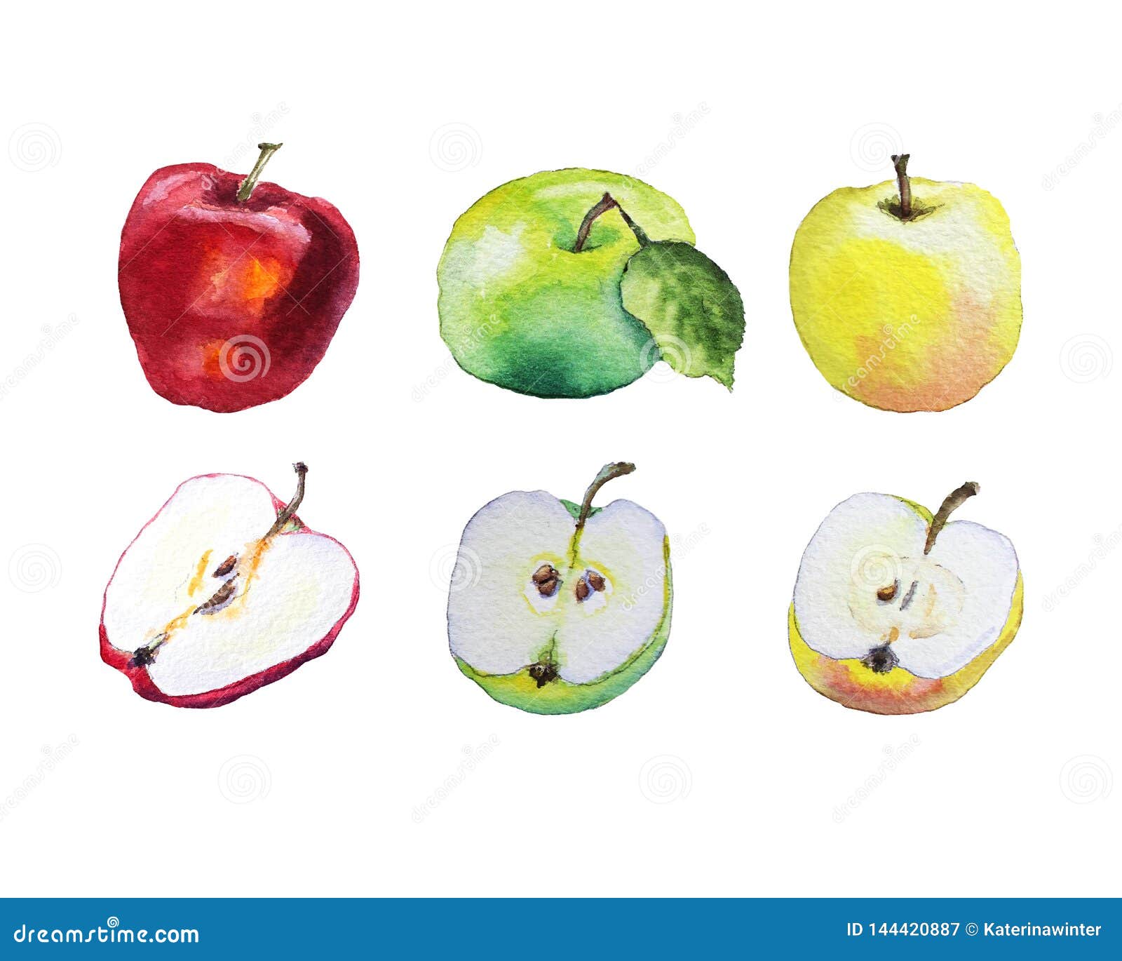 水彩五颜六色的苹果. 红色，绿色，黄色苹果和一半裁减水彩绘画  背景查出的白色