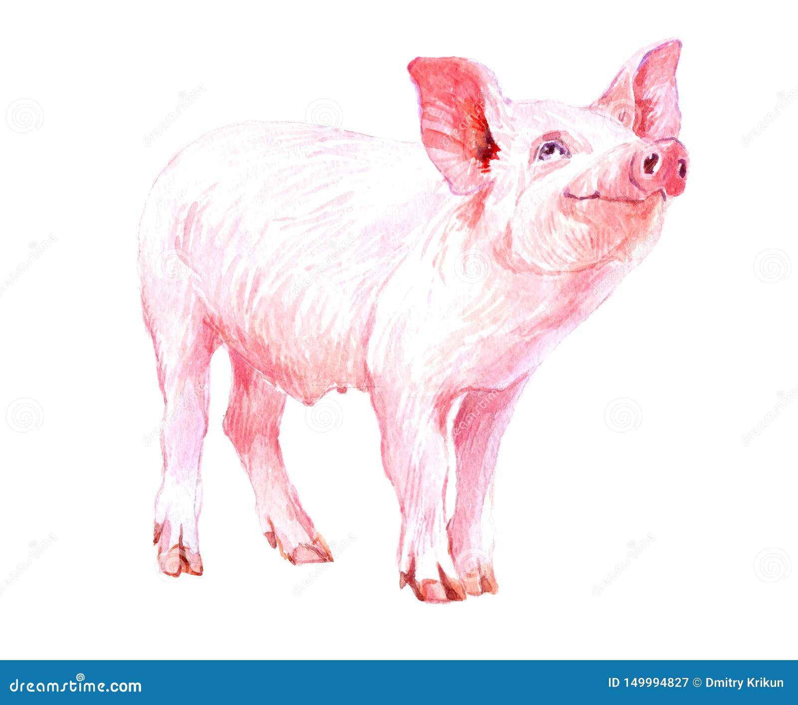 微型猪水彩画象 库存例证. 插画 包括有 查找, 粉红色, 装饰, 花束, 例证, 滑稽, 本质, 抽象 - 115435932