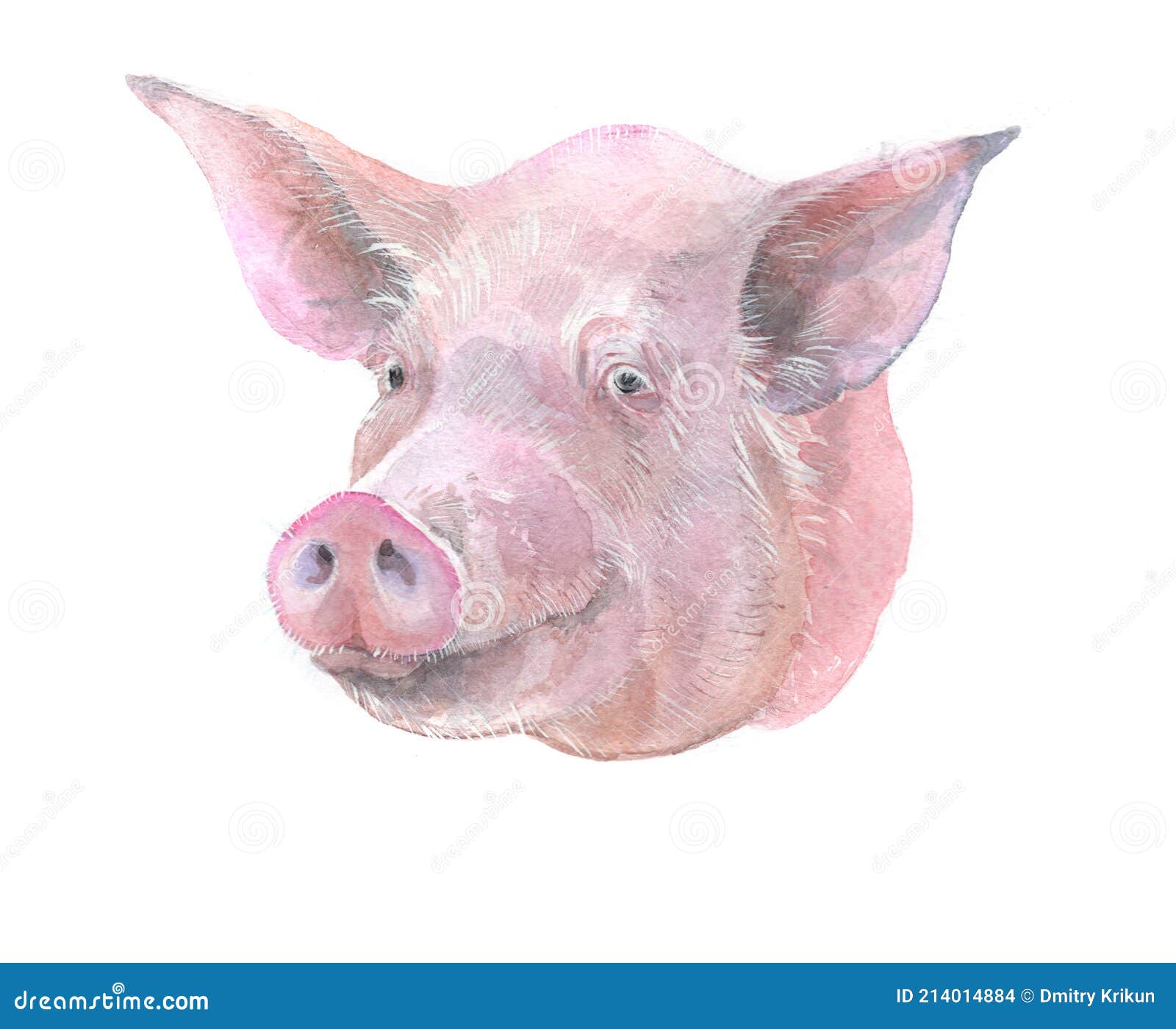森系 水彩 手绘 农场 猪设计图__家禽家畜_生物世界_设计图库_昵图网nipic.com