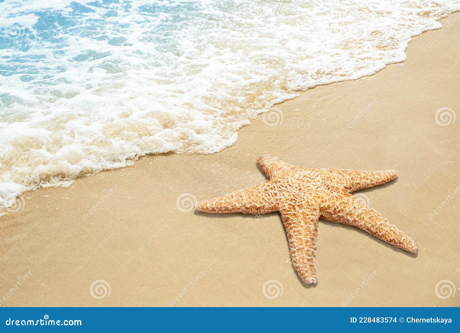 沙滩海星图片_自然风景_自然景观_图行天下图库