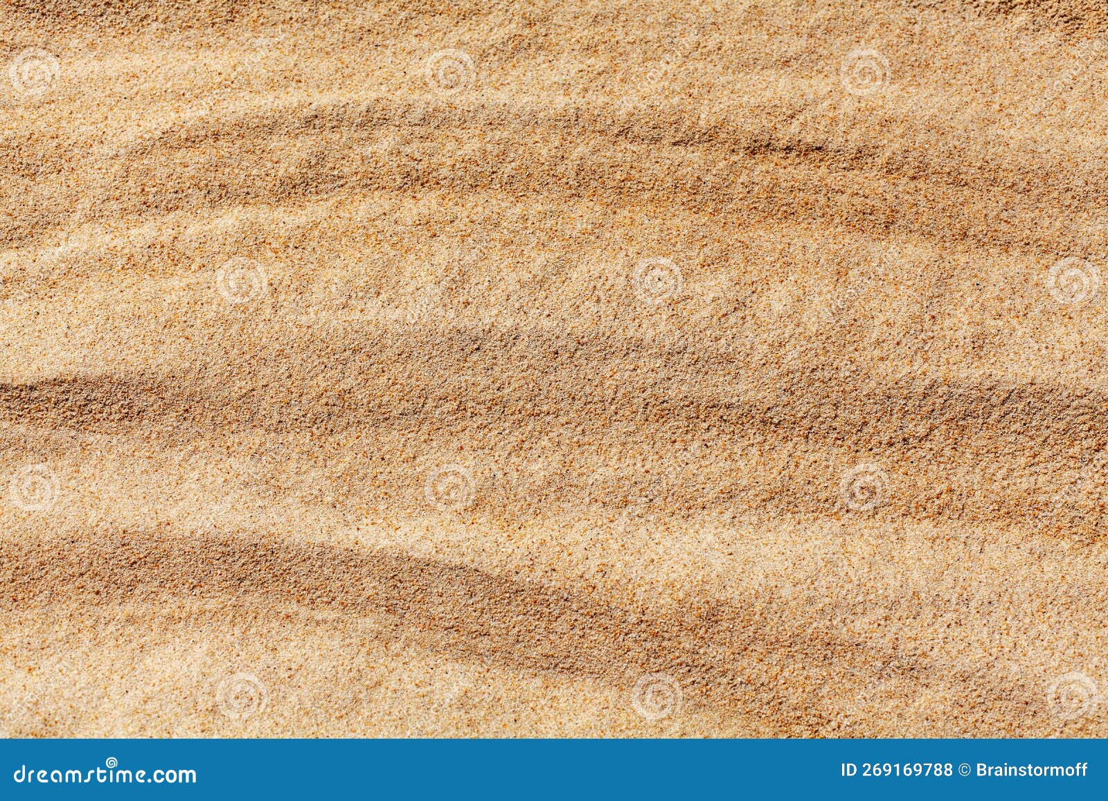 沙粒的极端特写镜头 库存照片. 图片 包括有 谷物, 特写镜头, 地质, 石头, 详细资料, 纹理, 结构 - 113583252