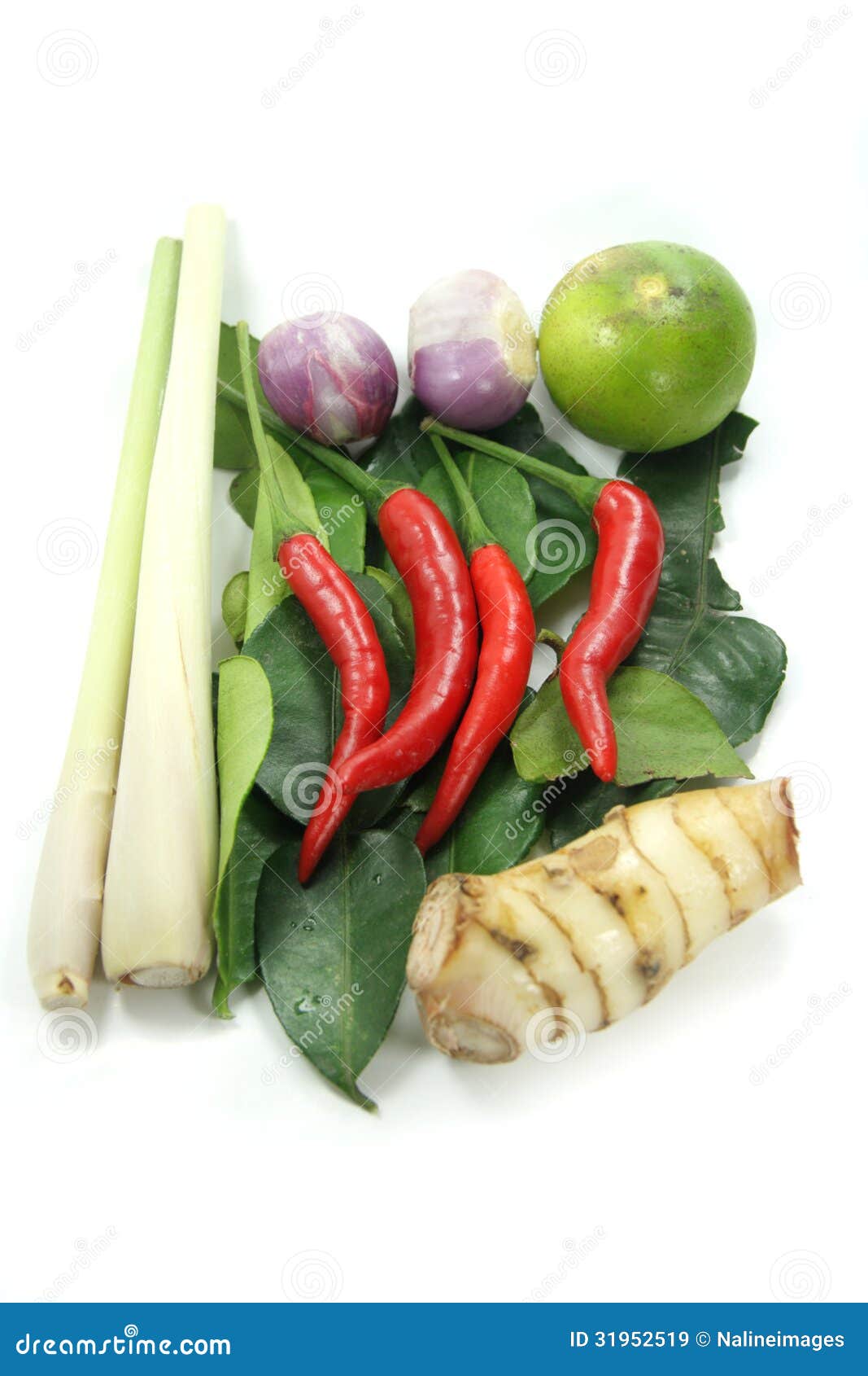 泰国香料成份 库存照片. 图片 包括有 辣椒, 文化, 石灰, 叶子, 红色, 有机, 泰国, 青葱, 柠檬 - 73572018