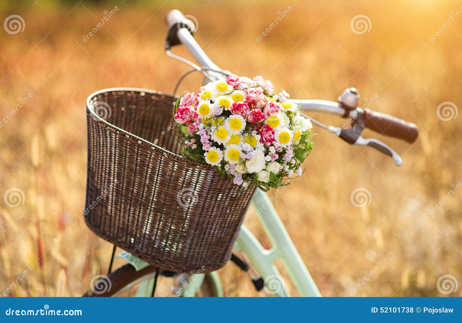 水彩绘浪漫的自行车插画图片素材-编号28937836-图行天下