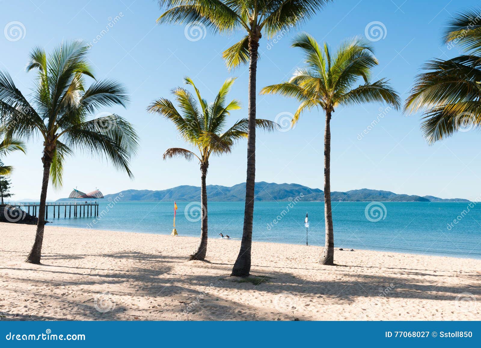 海滩热带的可可椰子. 美丽的热带海滩子线，汤斯维尔和磁岛在背景中