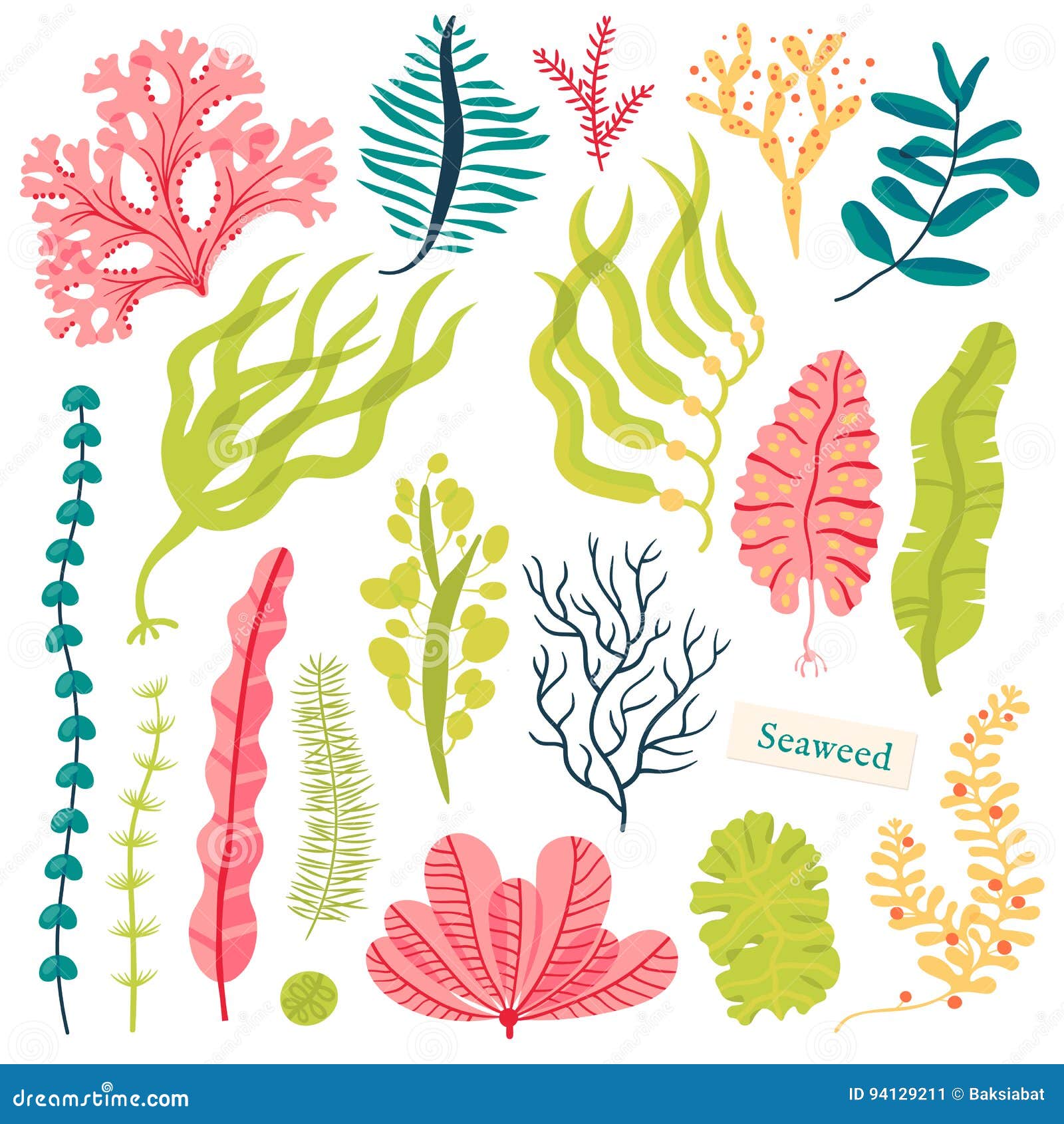 世界海草日：健康的海草，健康的地球- 中国生物多样性保护与绿色发展基金会