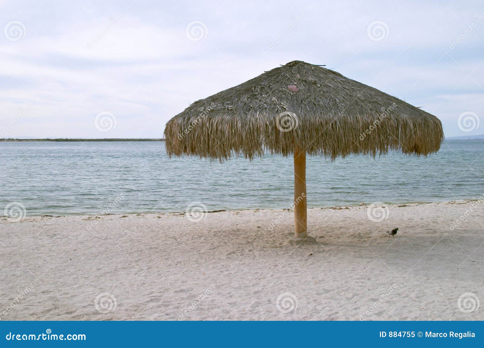 海滩拉巴斯伞. Baja海滩加利福尼亚la墨西哥帕兹伞
