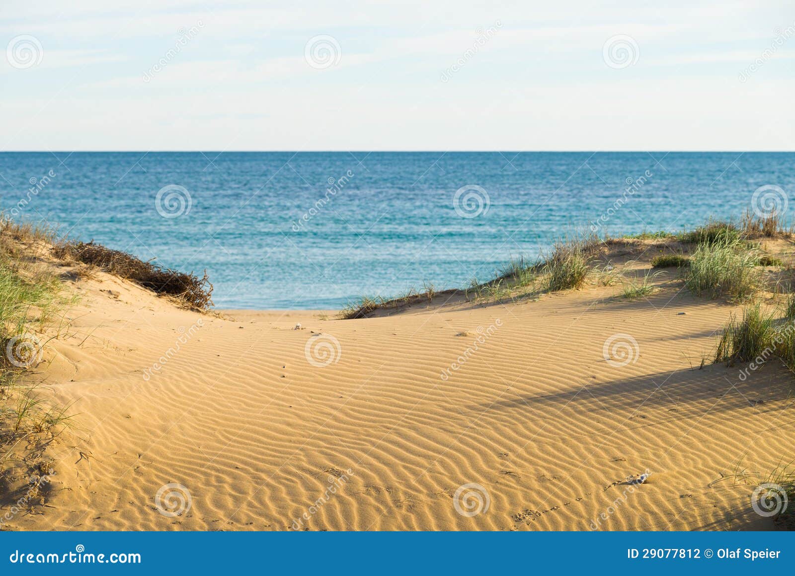在一个晴朗的海滩沙丘的波浪被风吹扫模式