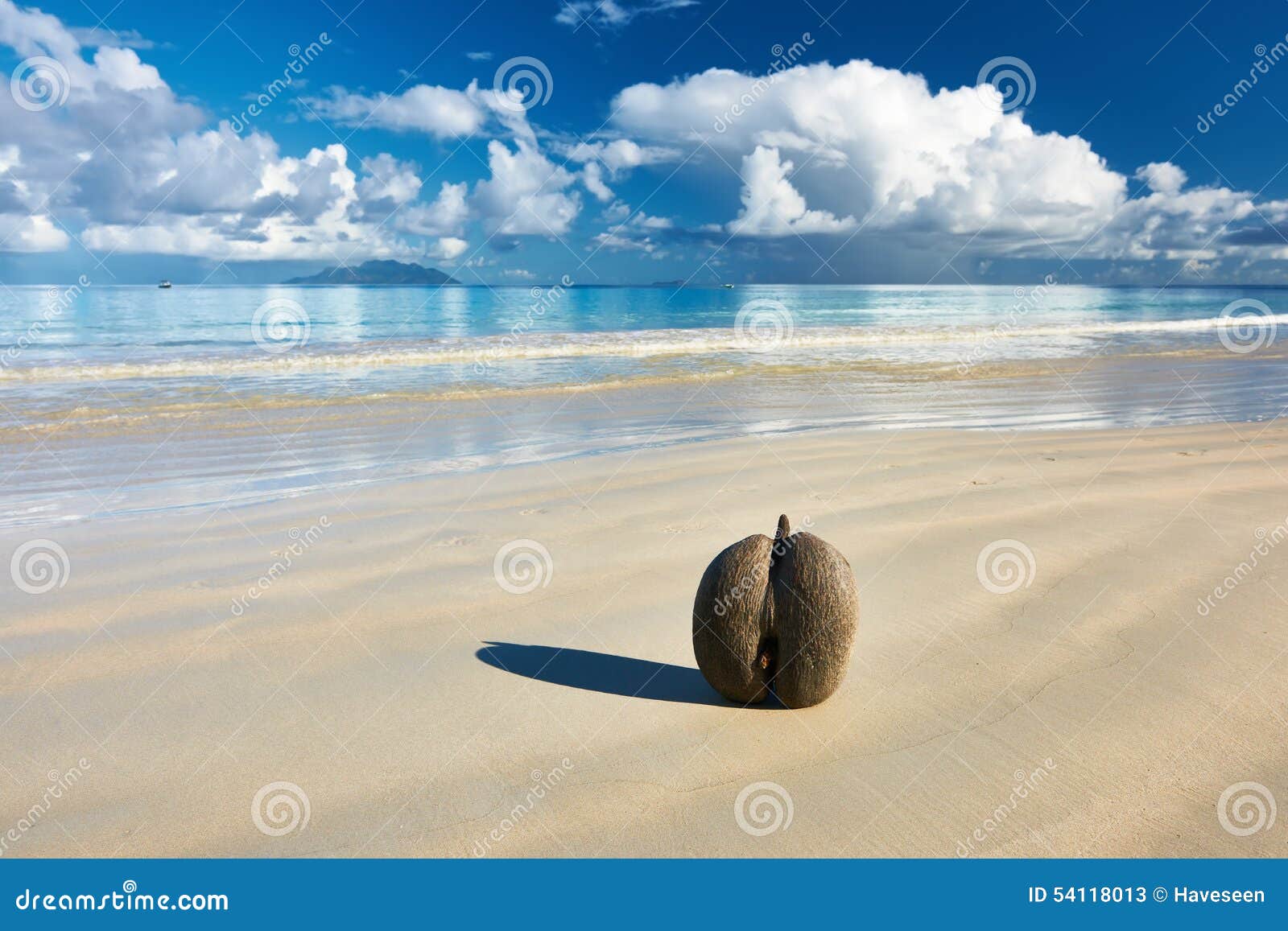 海的椰子(coco de mer)在塞舌尔群岛的海滩 库存图片. 图片 包括有 手段, 少见, 沙子, 休闲 - 53867441
