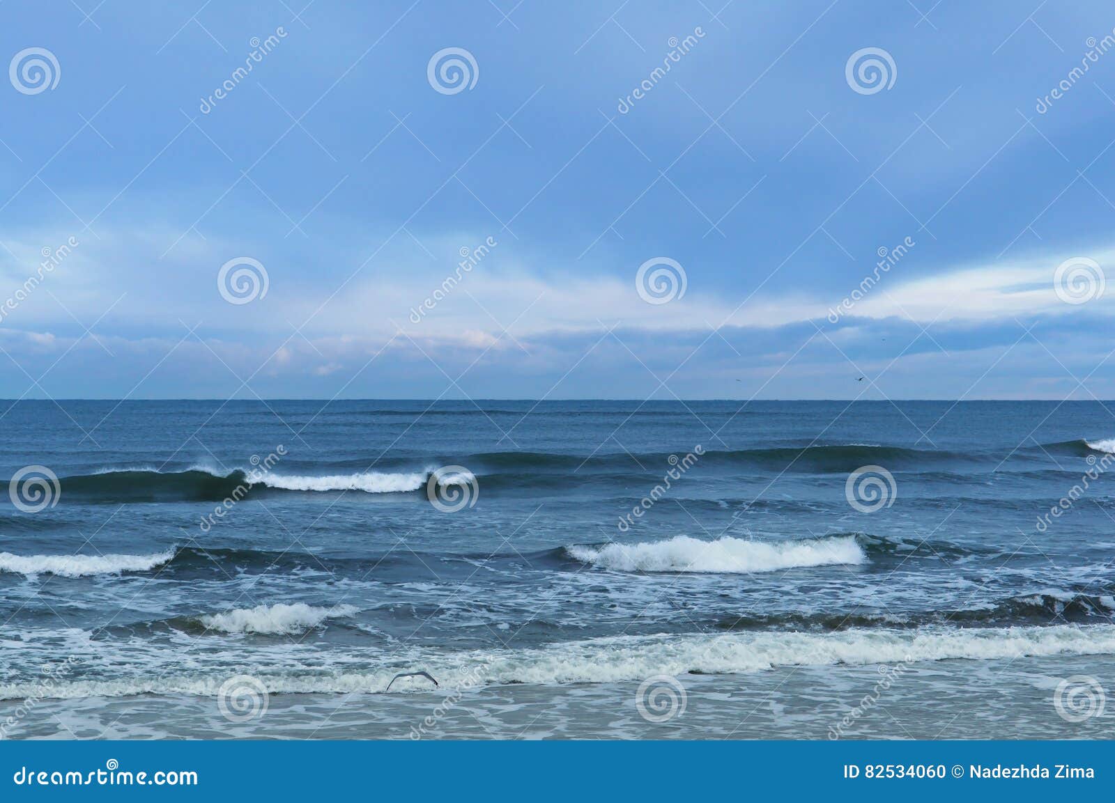 海，波浪，风. 海挥动，猛冲，海，波罗的海的风