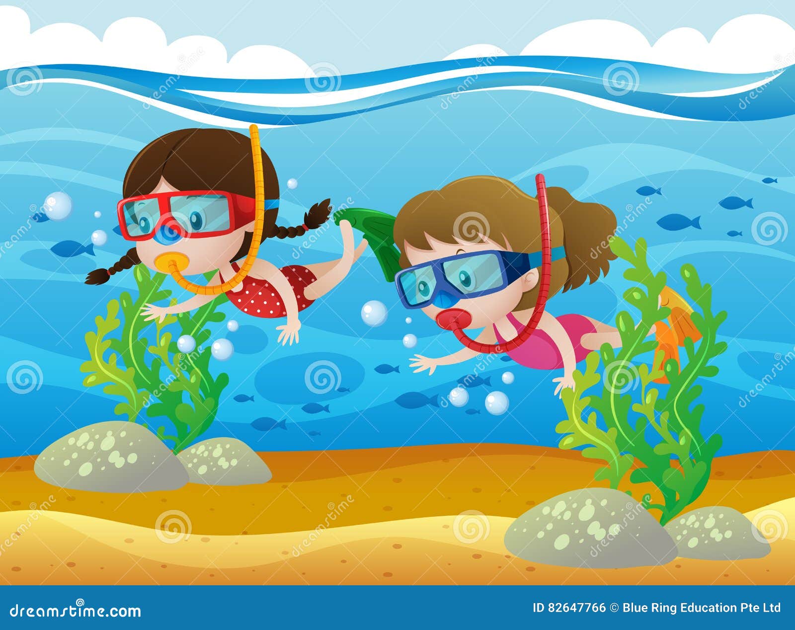 2024美人鱼岛潜水玩乐攻略,蓝天白云，海水干净，岛上自... 【去哪儿攻略】