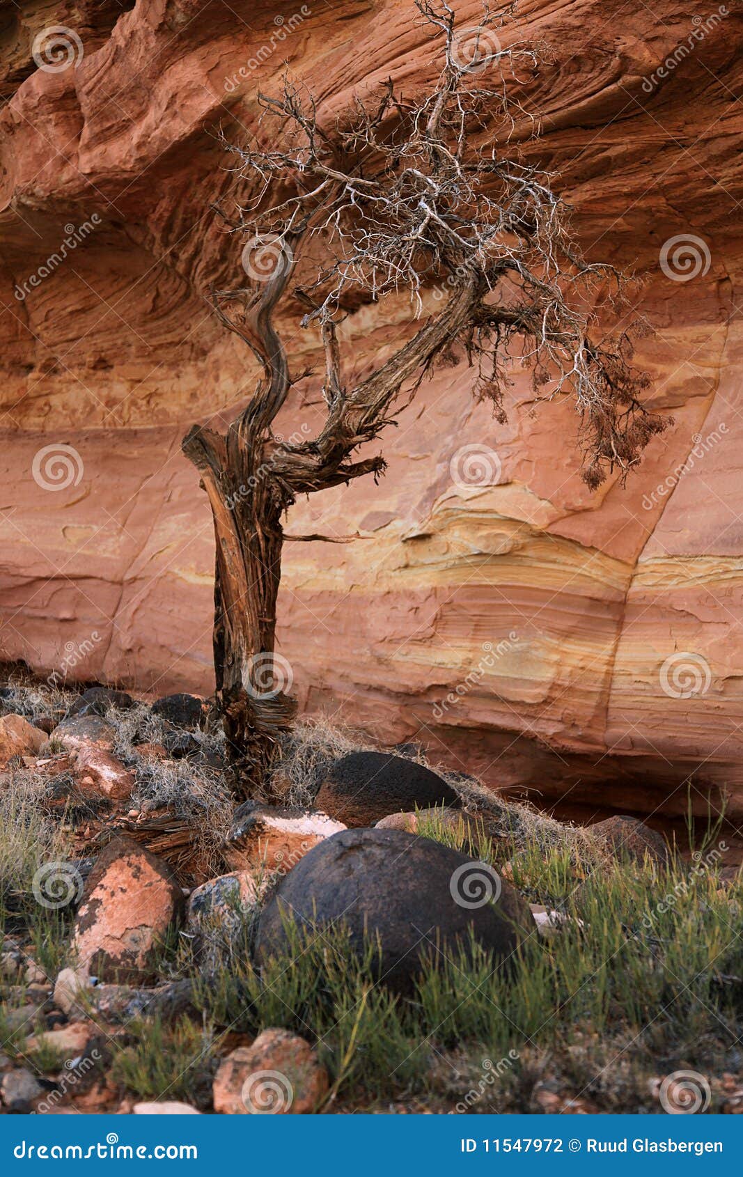 红色石头 库存照片. 图片 包括有 粗砺, 天旱, 公园, 晒裂, 干燥, 夏天, 科罗拉多, 山脉, 接合 - 58048492