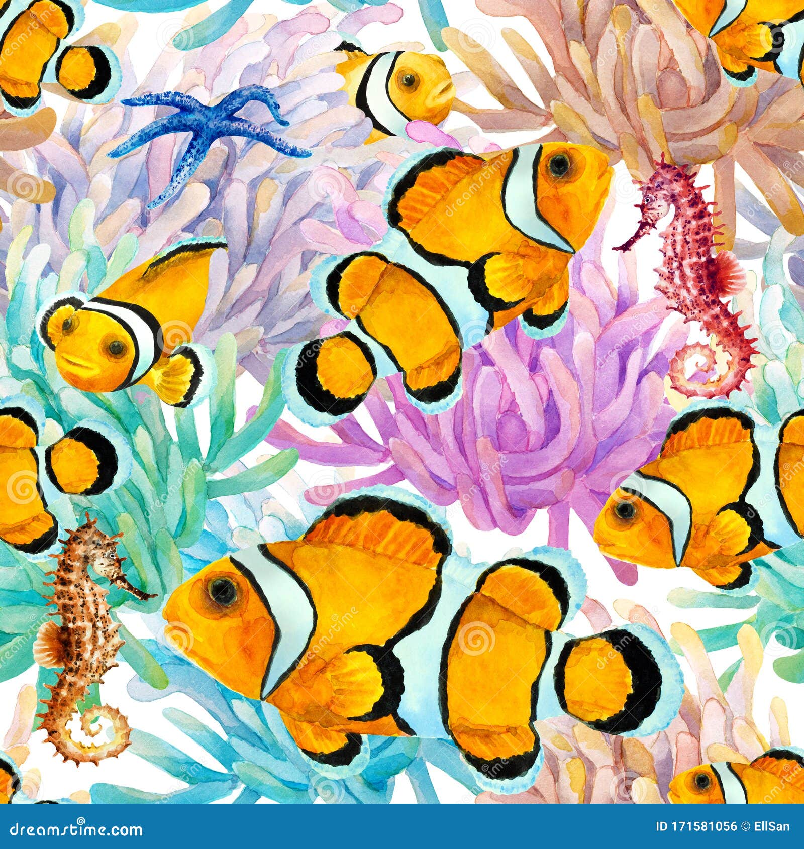 Nemo PNG Transparent Images | PNG All
