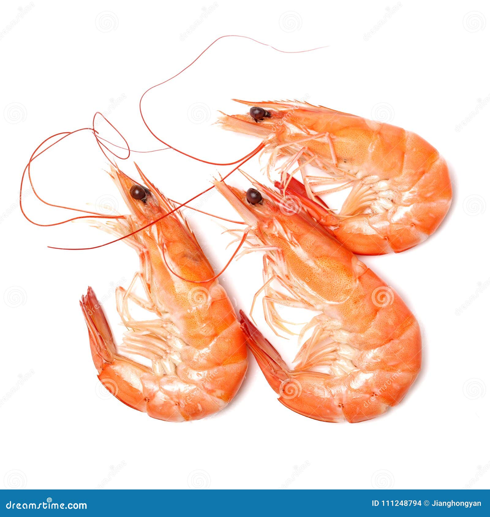 新鲜煮熟的虾背景海鲜 免费图片 - Public Domain Pictures