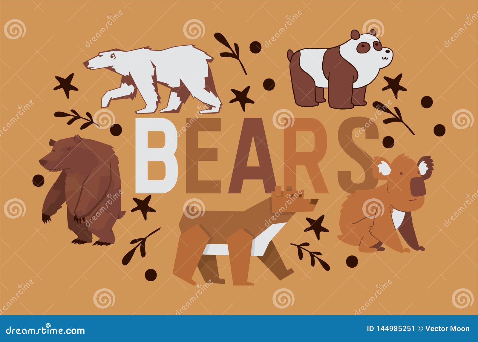 ç†Šä¼ æŸ“åª’ä»‹é‡Žç”ŸåŠ¨ç‰©å­—ç¬¦è¤ è‰²åŒ—ç¾Žç °ç†Šç†ŠçŒ«å¥¹ç†Šå’ŒåŒ—æž ç†Šä¾‹è¯ èƒŒæ™¯åŠ¨ç”»ç