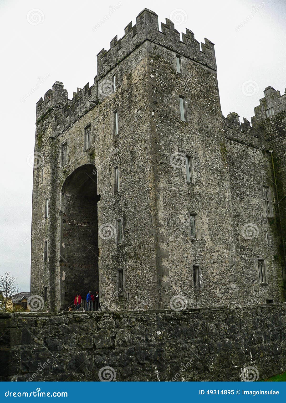爱尔兰 bunratty城堡. Bunratty城堡， 15世纪 近的民间村庄，位于河香农的谷的这个庄园，是游人最参观的其中一座爱尔兰纪念碑