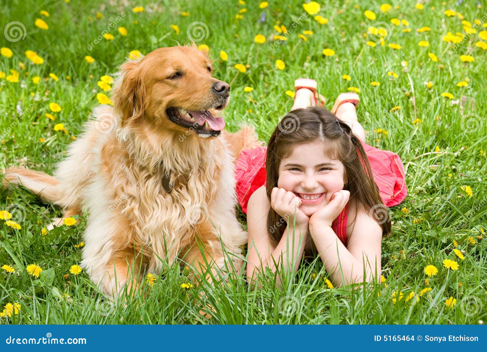 小女孩和狗在花园里玩耍照片摄影图片_ID:166958861-Veer图库