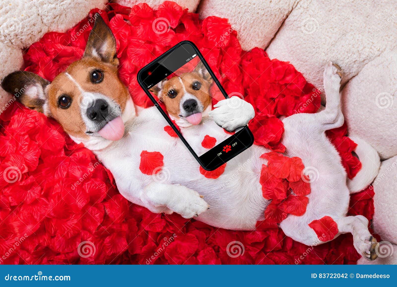 下载壁纸 拉布拉多, 狗, 小狗, 花卉 免费为您的桌面分辨率的壁纸 7340x4870 — 图片 №632259