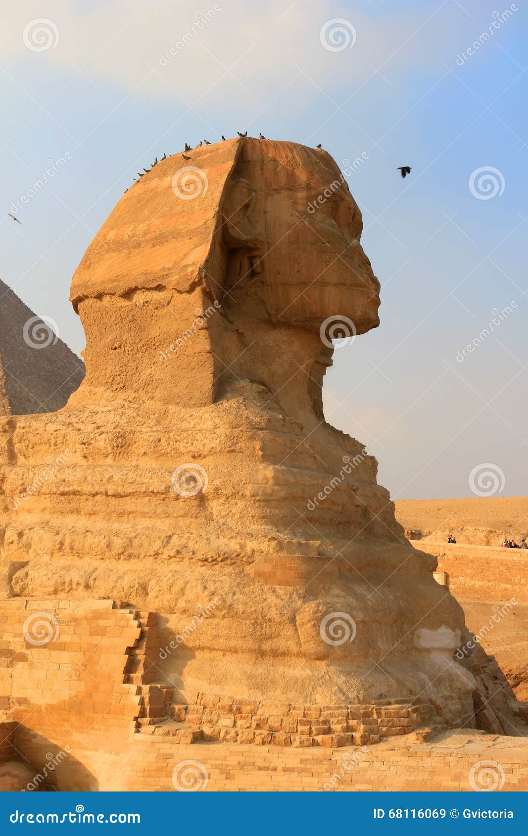 狮身人面象在吉萨棉，埃及. 与Khafre的相象的狮身人面象和一个狮子身体在吉萨棉在埃及