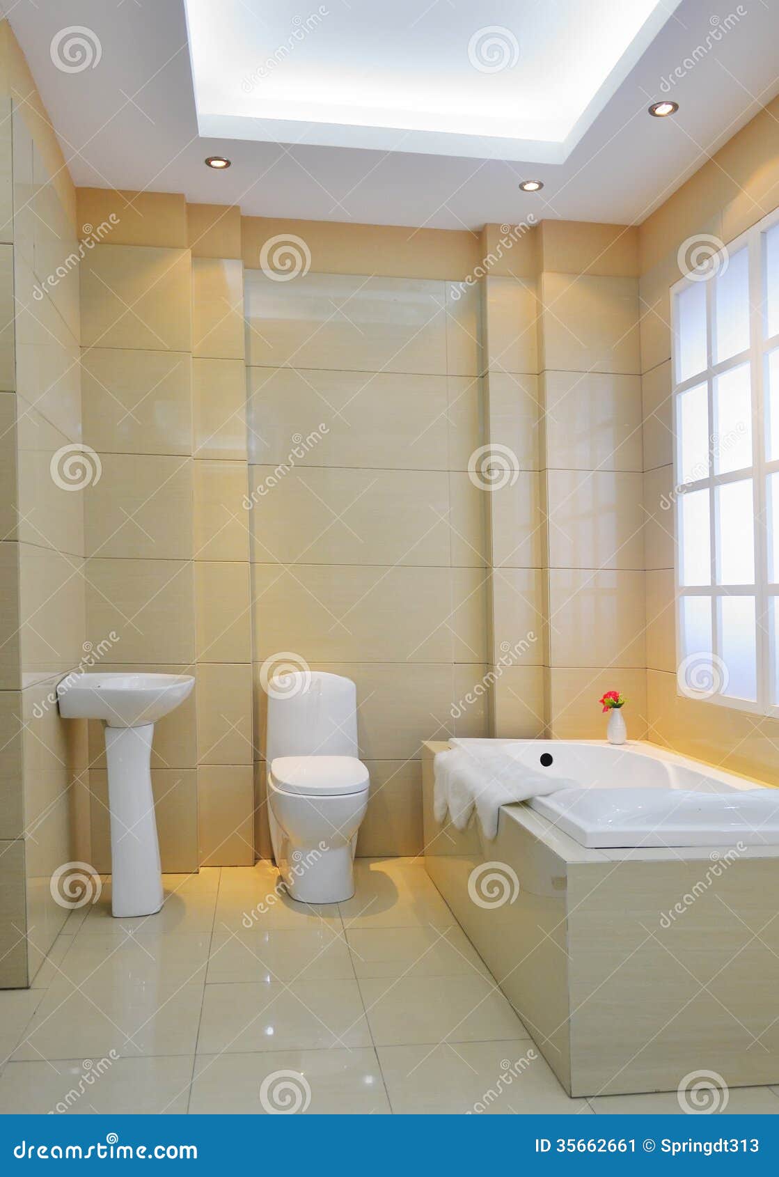 现代卫生间. 有现代装饰的豪华卫生间