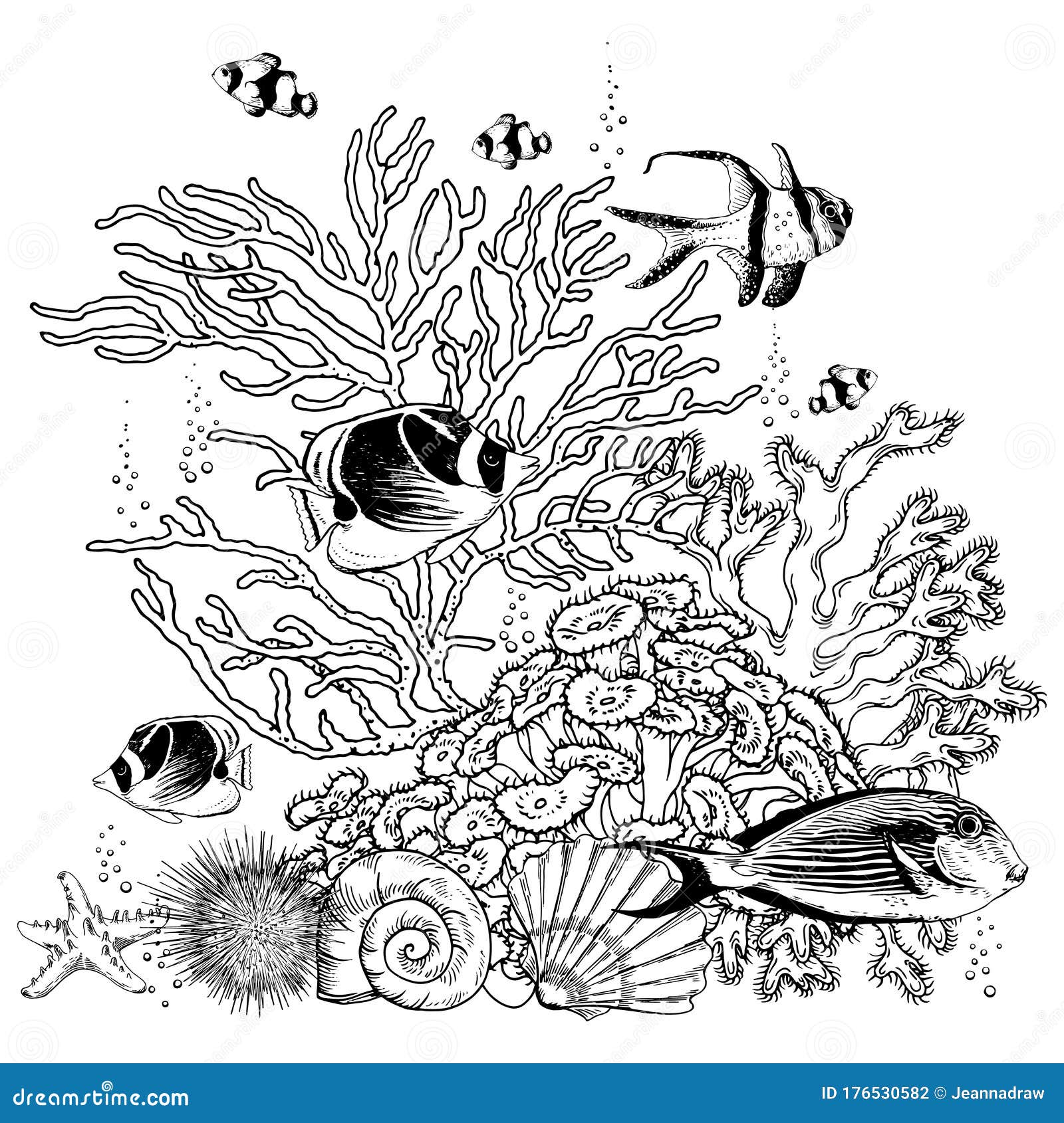 鱼和贝壳背景图片_鱼和贝壳背景素材图片_千库网