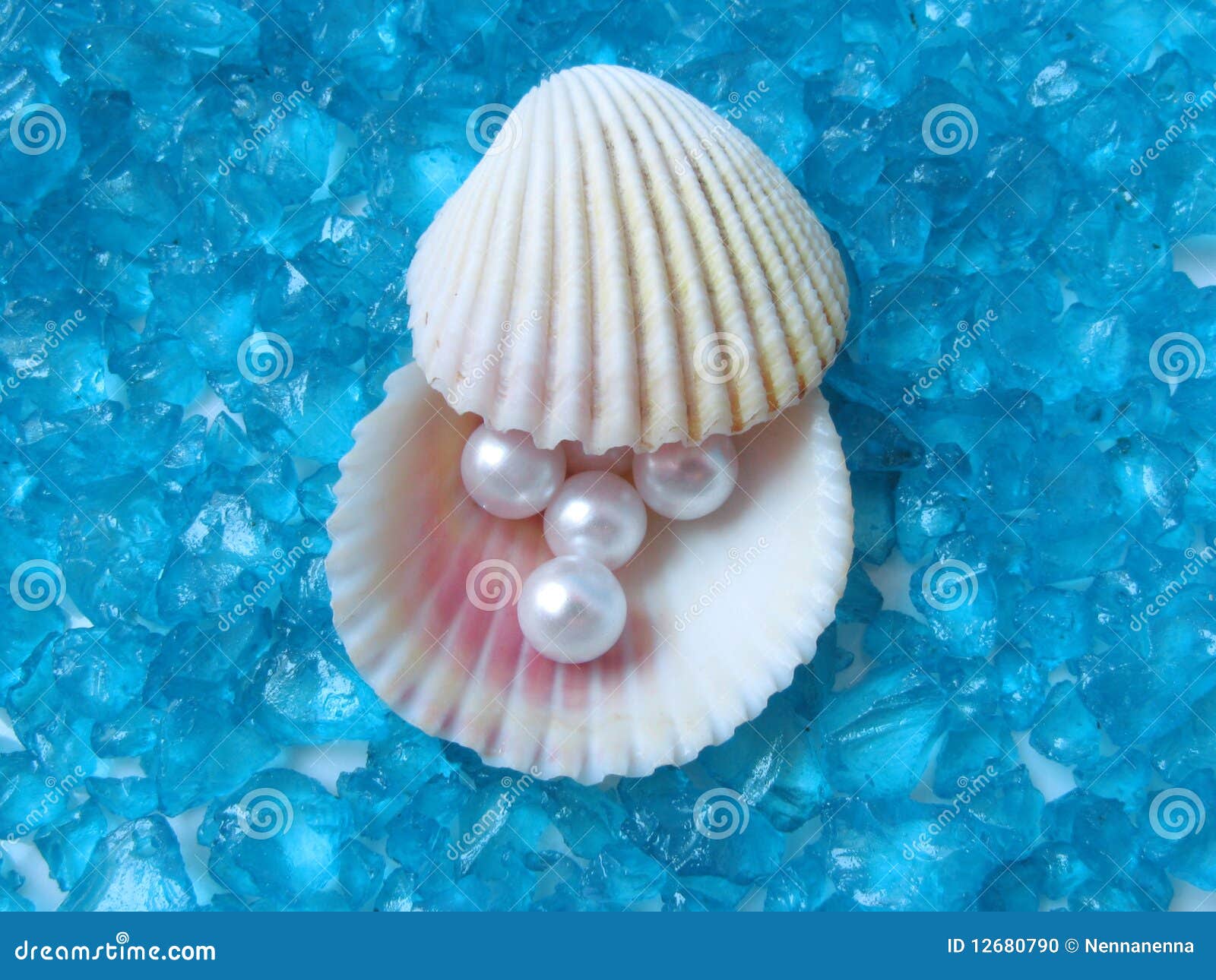 珍珠壳 库存照片. 图片 包括有 图象, 坎昆, 贝壳, 蓝色, 概念, 海滨, 手段, 珠宝, 火箭筒 - 49458692