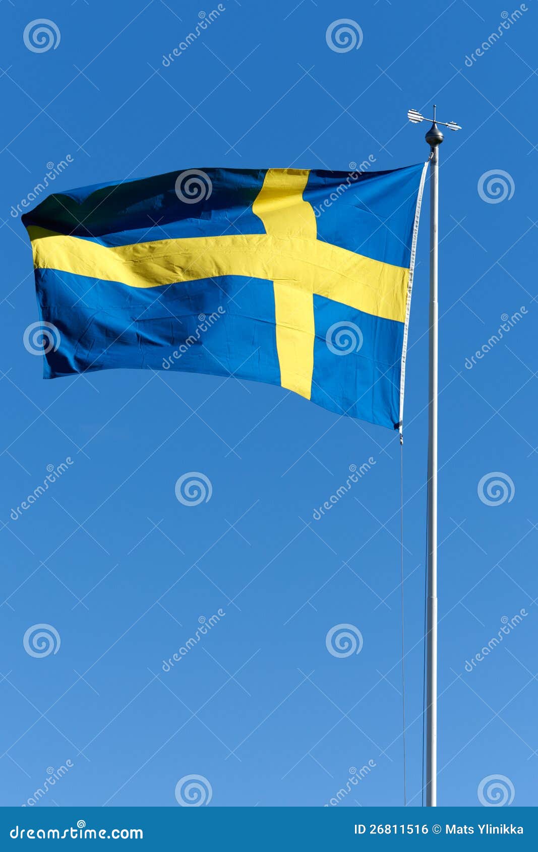 瑞典的国旗,瑞典的花,新西兰的旗_大山谷图库
