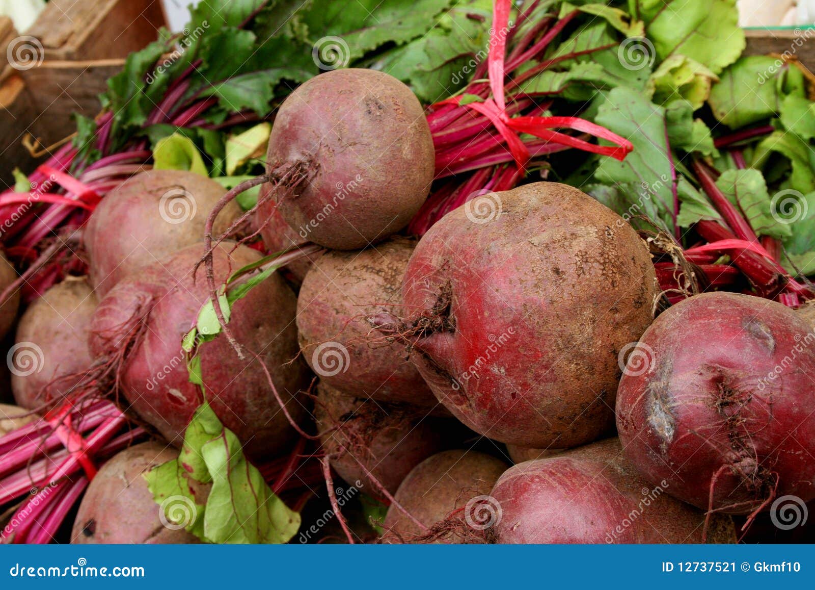 甜菜根在一个菜园里 甜菜根生长 库存图片. 图片 包括有 卧室, 黑暗, 有机, 本质, 增长, 陆运, 食物 - 78151137