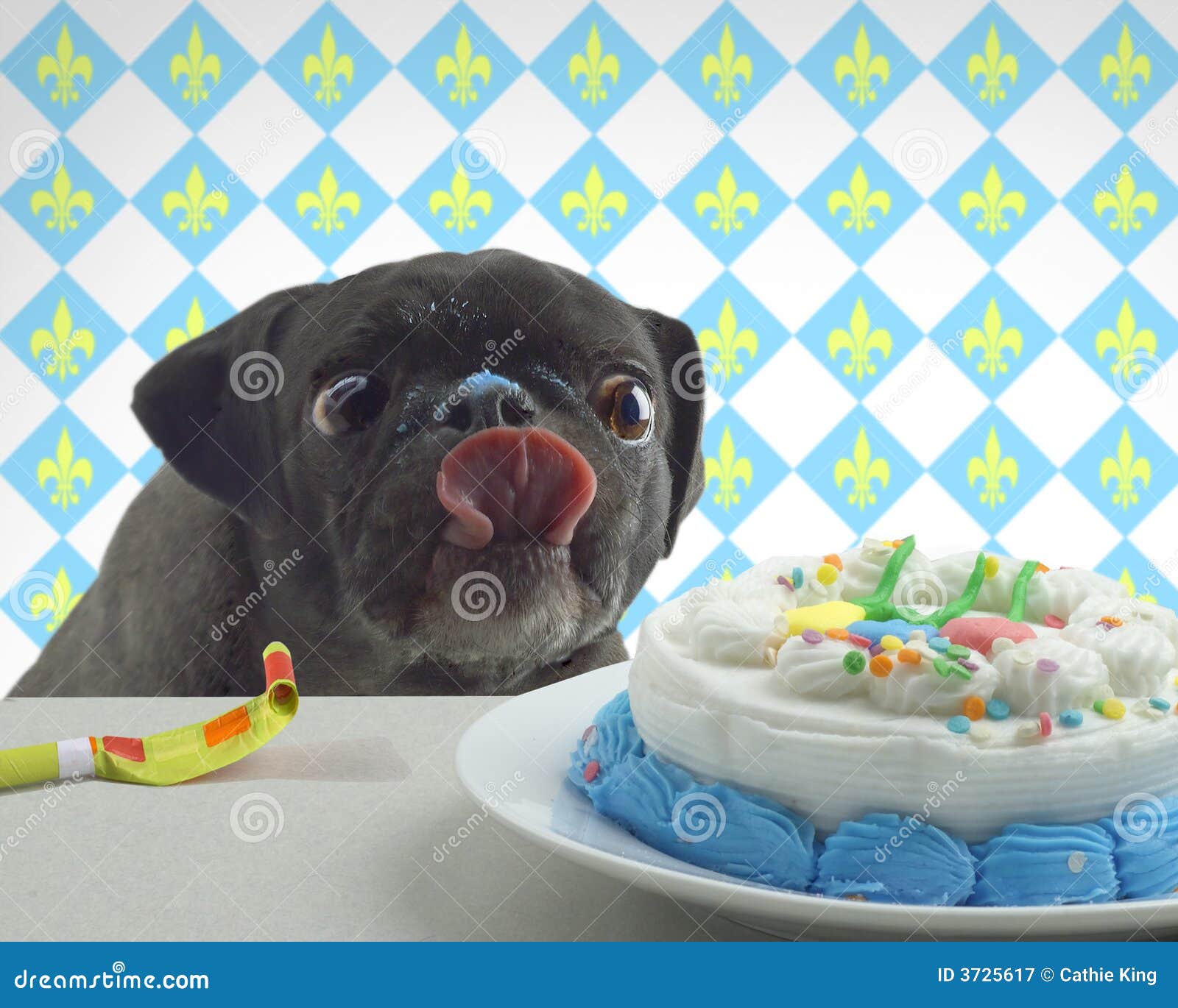吃蛋糕的滑稽的生日狗 库存照片. 图片 包括有 宠物, 滑稽, 生日, 蛋糕, 帽子, 查出, 空间, 当事人 - 113438974