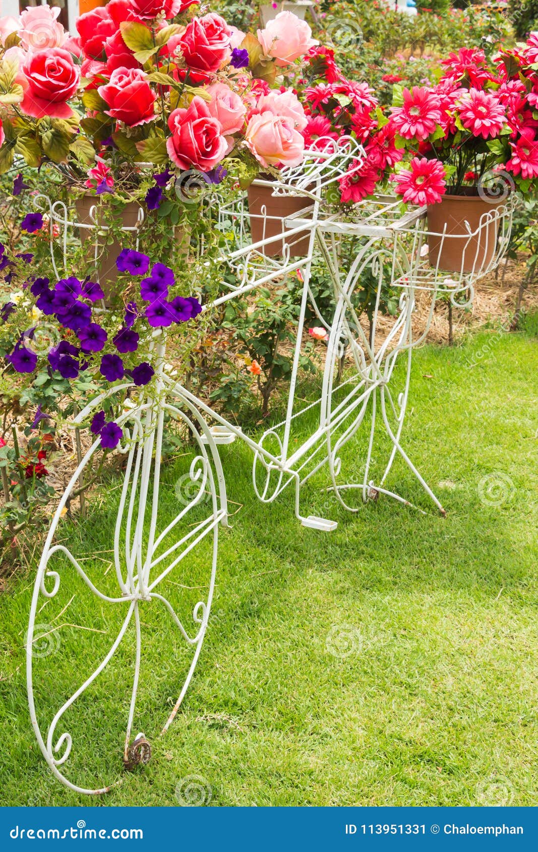 有花的自行车 向量例证. 插画 包括有 普遍, 查出, 设计, 艺术, 花卉, 华丽, 上升了, 植物群 - 61181880