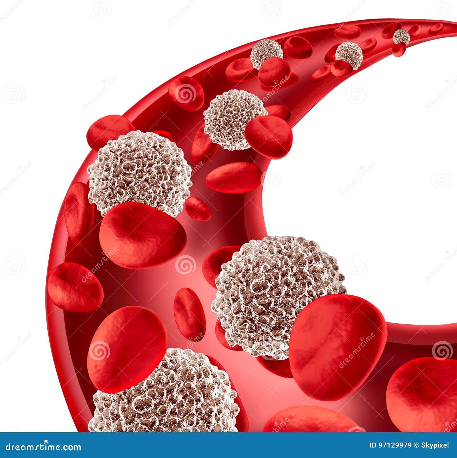 医学 红细胞 红血球 白细胞 白血球 血小板 3d三维全息_AD1569-站酷ZCOOL