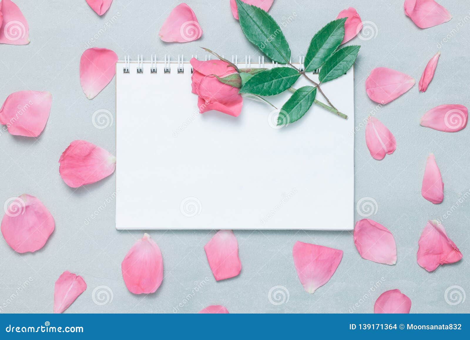 【白玫瑰PNG】精選27款白玫瑰PNG點陣圖素材包下載，免費的白玫瑰去背圖片 - 天天瘋後製