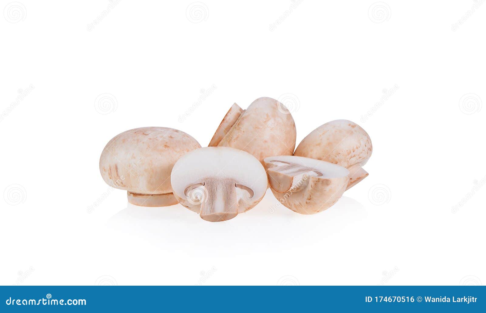 白色背景中突显的白色香菇香菇 库存照片. 图片 包括有 健康, 饮食, 食物, 收获, 新鲜, 正餐, 厨师 - 232837186