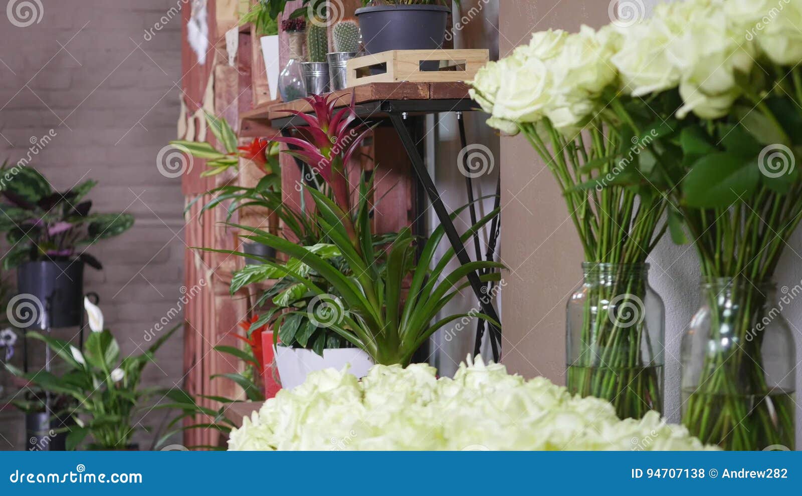 白色颜色新鲜的玫瑰特写镜头射击与绿色词根和叶子的在束安排了待售在花卉商店