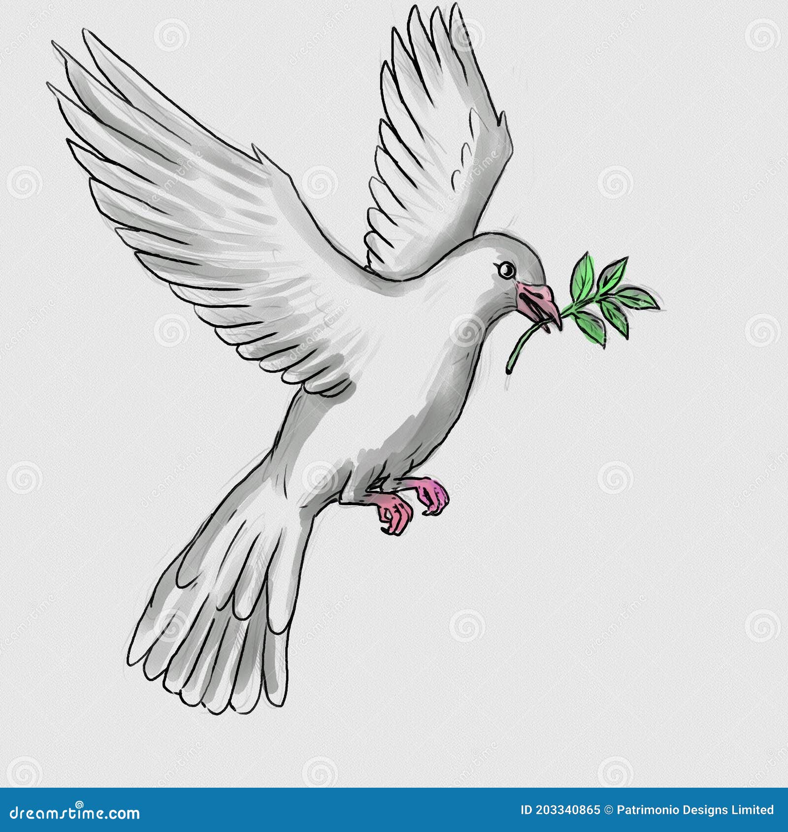鸽子圣灵与橄榄枝向量海报插画图片素材_ID:412434909-Veer图库