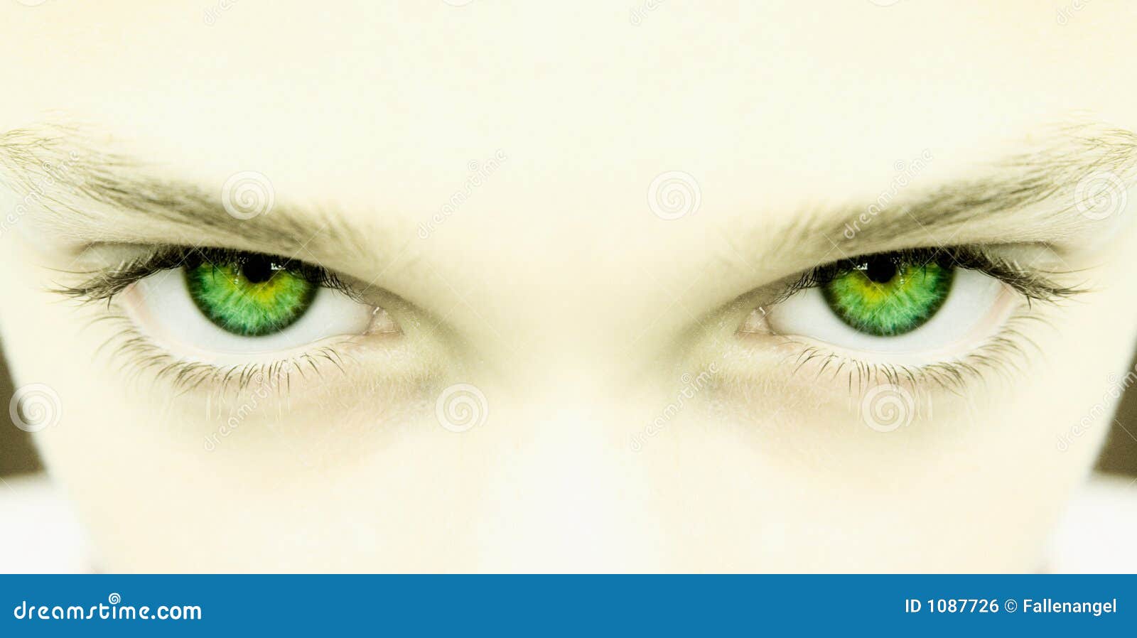 绿色的眼睛瞳孔_高清图片素材_北极熊素材库