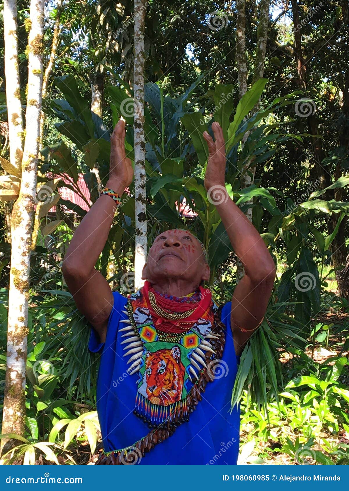 科凡族的土著老萨满在亚马逊丛林里举起双臂,进行治疗仪式编辑类 科凡族的土著老萨满在亚马逊丛林里举起双臂,进行治疗仪式编辑类