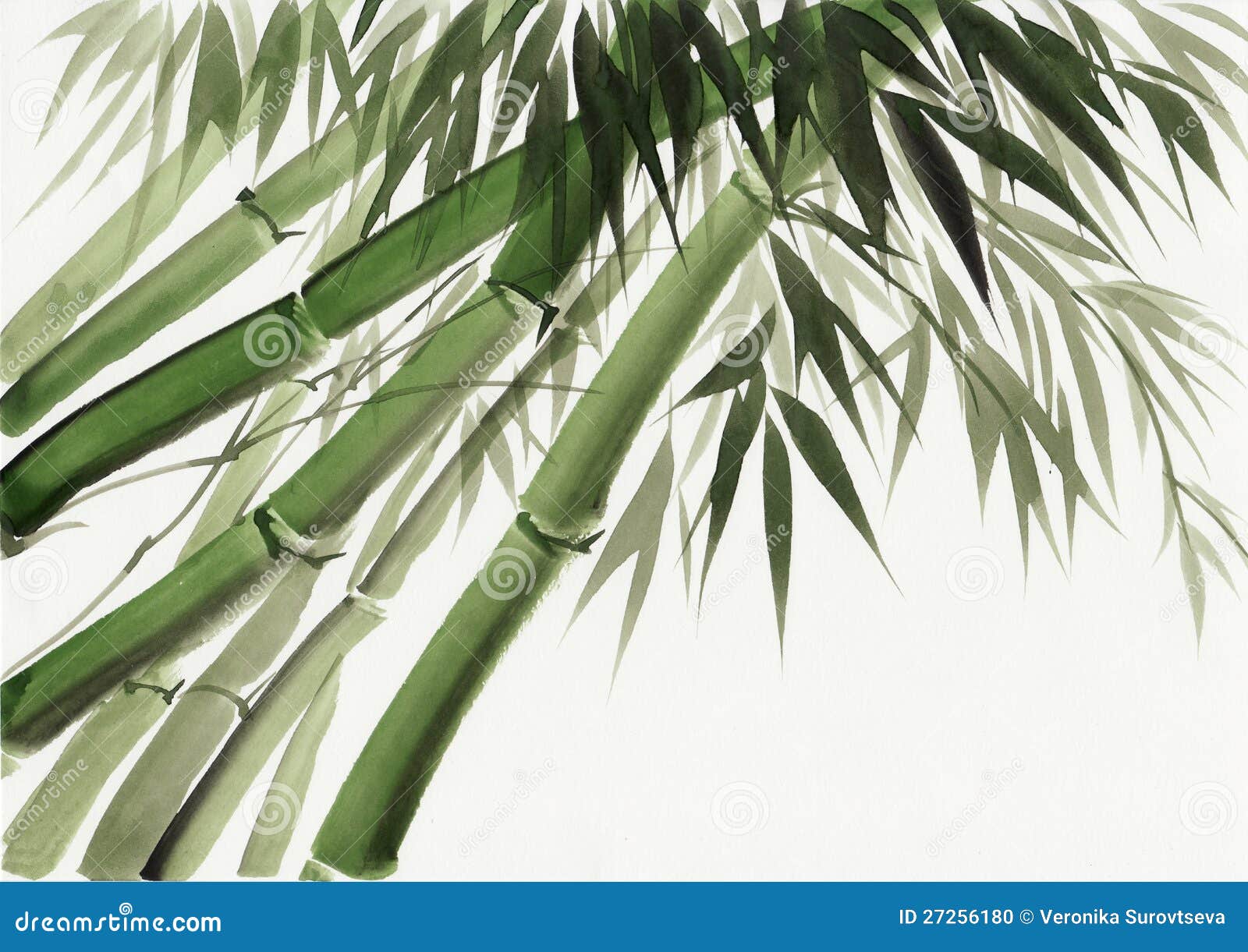 竹子手绘装饰图片素材免费下载 - 觅知网