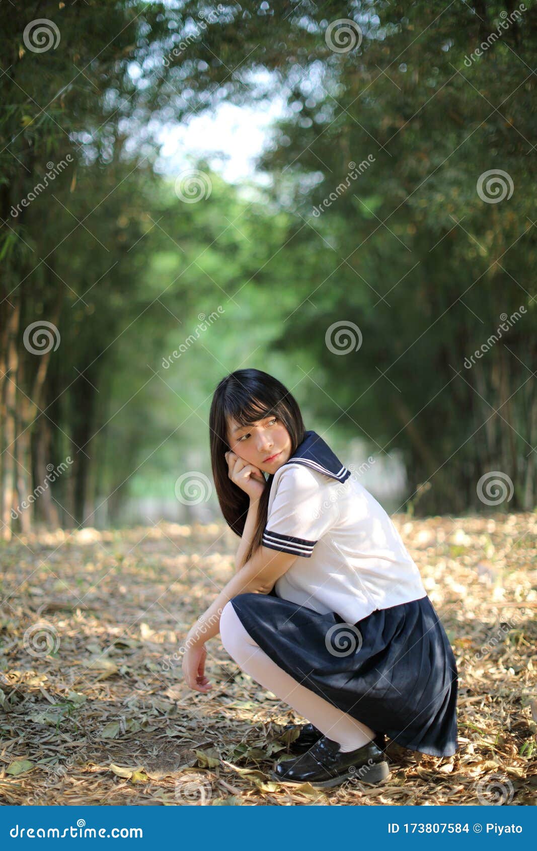 竹林背景中美丽的亚洲日本高中女生制服画像 库存照片. 图片 包括有 室外, 教育, 生活方式, 一个, 日语 - 178514762