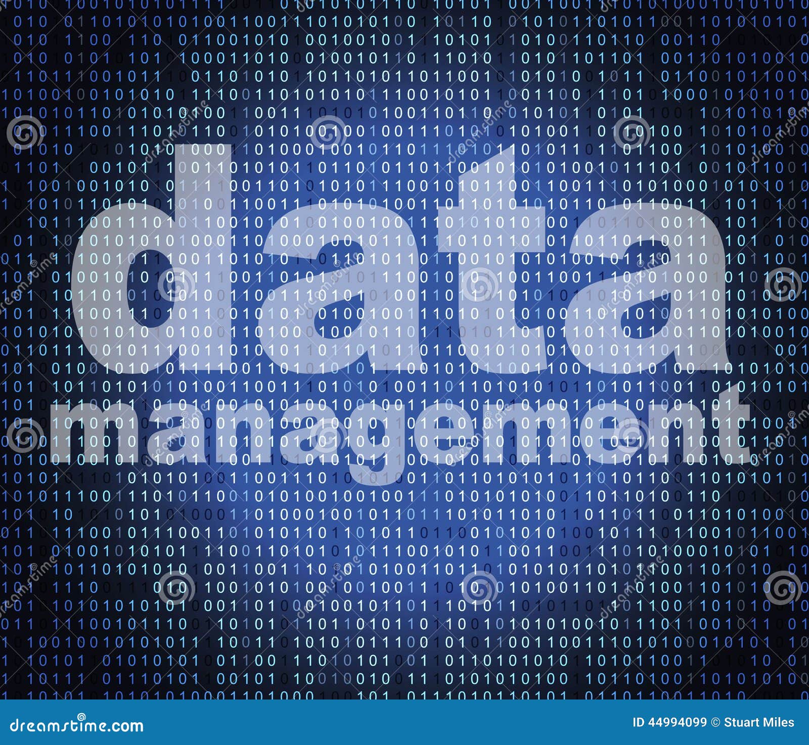 管理数据意味董事会组织和知识. 代表事实主任和事实的管理数据