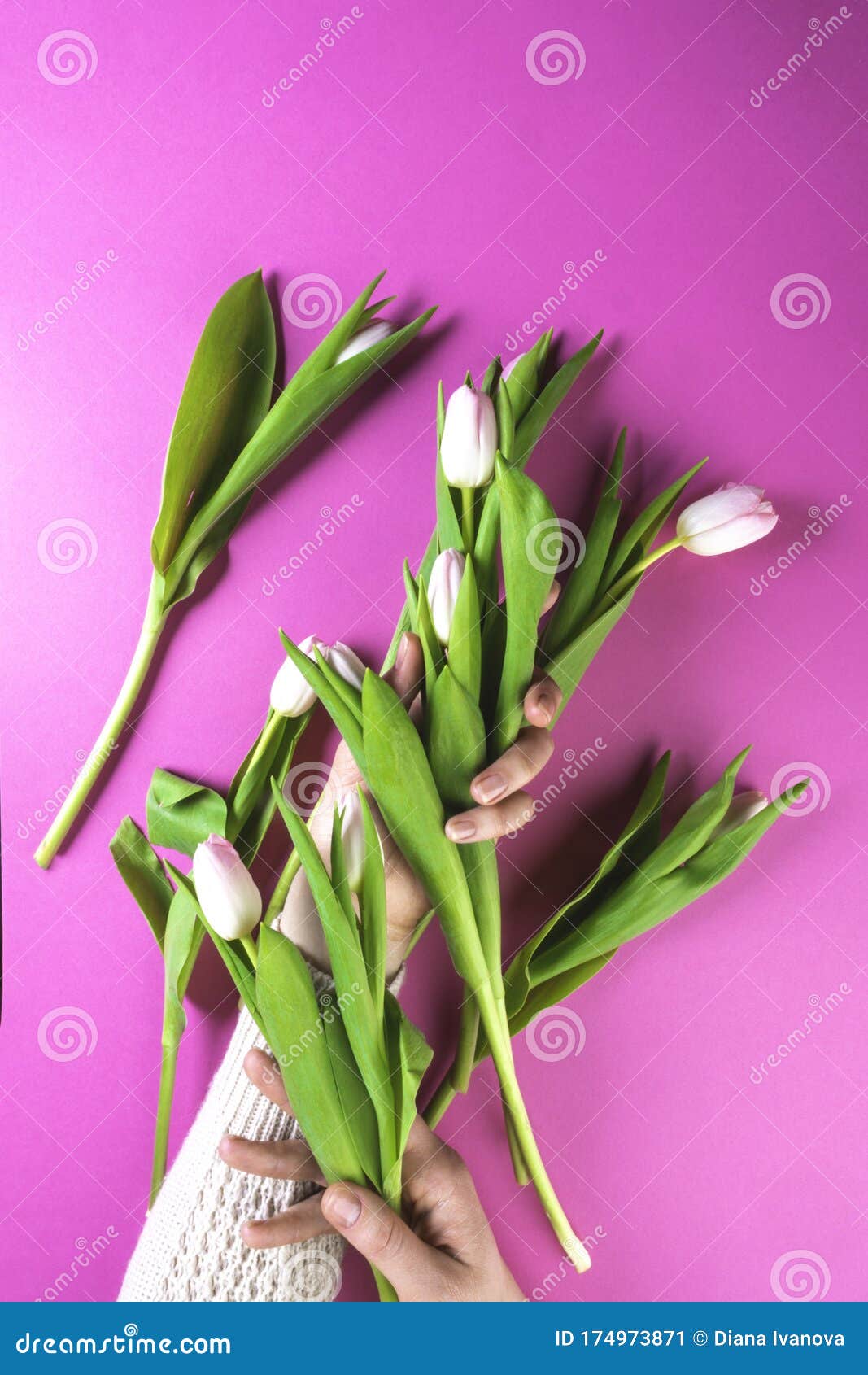 女性手捧三叶草花束与粉红色的花朵在金属藤图片下载 - 觅知网