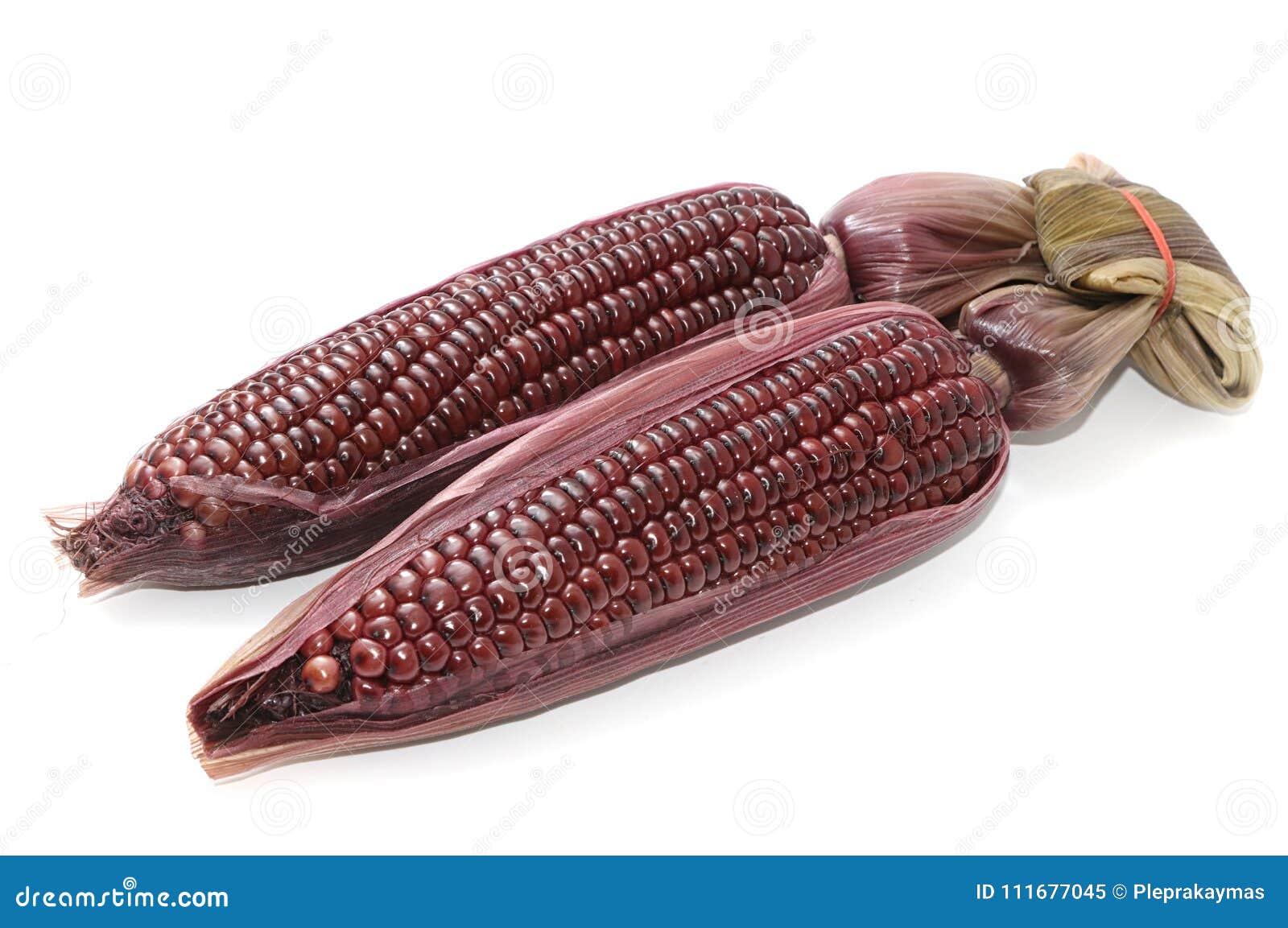 玉米穿紫,紫玉米,紫白玉米_大山谷图库