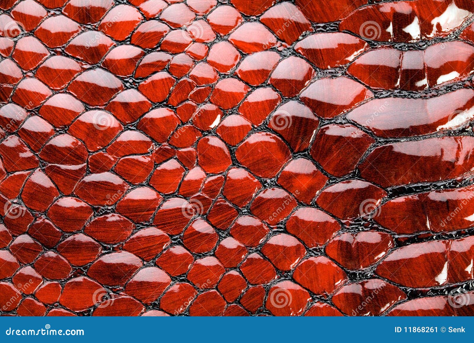 野生大蟒蛇表皮鳞片及图案花纹特写_站酷海洛_正版图片_视频_字体_音乐素材交易平台_站酷旗下品牌