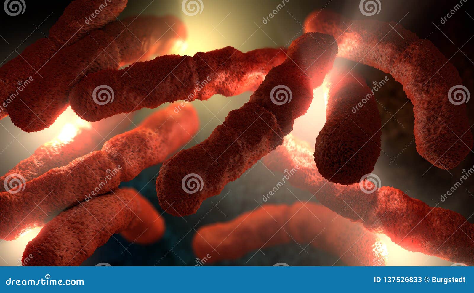 红色色的杆状的细菌极端特写镜头. 3d红色色的杆状的细菌一个极端特写镜头的例证