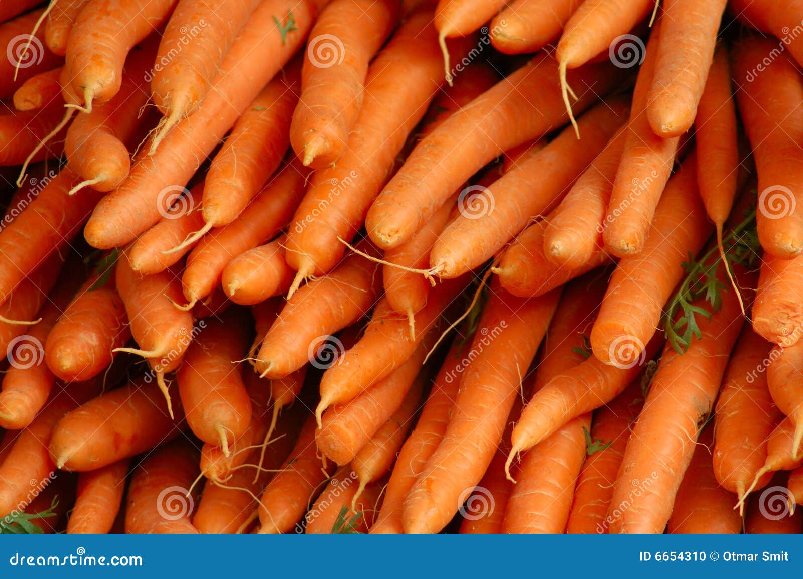 什么时候种红萝卜,六月份能种红萝卜吗,卡通图片_大山谷图库