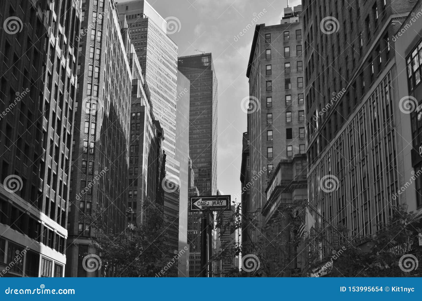 黑白纽约地平线 库存照片. 图片 包括有 都市, 东部, 公园, 摩天大楼, 单色, 约克, 亚马逊, 都市风景 - 137616092