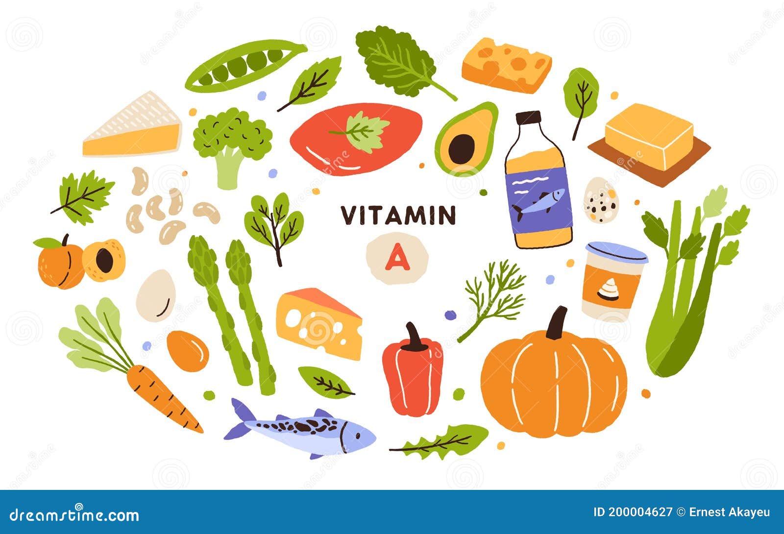 维生素在菜的食物来源 向量例证. 插画 包括有 有机, 沙拉, 蔬菜, 设计, 圆白菜, 萝卜, 健康 - 126484312